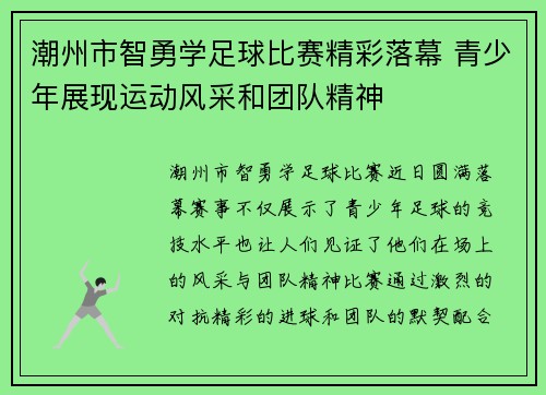 潮州市智勇学足球比赛精彩落幕 青少年展现运动风采和团队精神