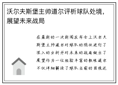 沃尔夫斯堡主帅道尔评析球队处境，展望未来战局